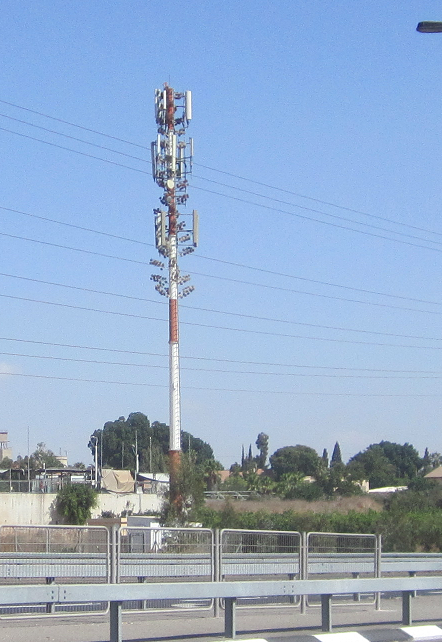 antenna camouflaged as a tree