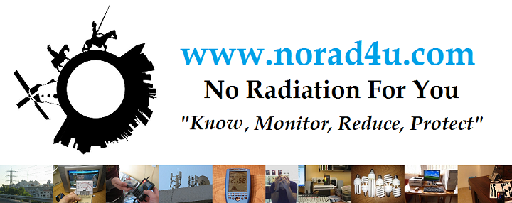 No Radiation For You Logo