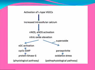 RFF μέσω VGCC από τον Martin Pall