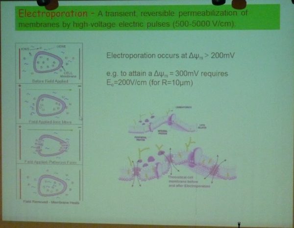 slide from Korenstein R presentation