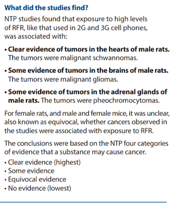 Findings of the NTS study from the fact sheet