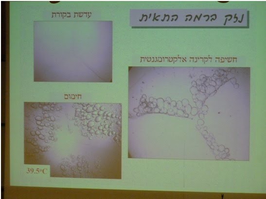 On the upper left, a normal lens.  On the lower left, a heat damage on the lens. On the right, RF damage on the lens. The screen shot out of  Levi Schächter  presentation