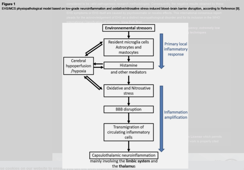 Figure 1 EHS/MCS physiopathological model based on low-grade neuroinflammation and oxidative/nitrosative stress-induced blood–brain barrier disruption, according to Reference [9].