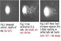 BIO EFFECT OF EMF